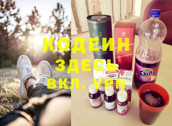 прущие грибы Балахна