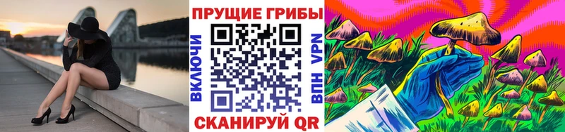 Псилоцибиновые грибы MAGIC MUSHROOMS  Бикин 